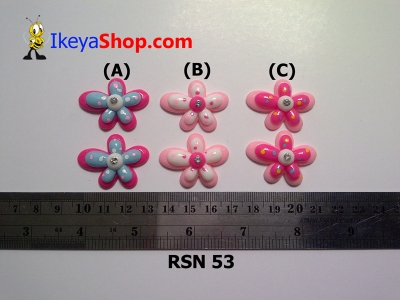 rsn 53 A C  large2